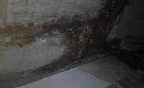 墻面滲水有什么辦法修復？屋頂防水施工的時候這些要留意