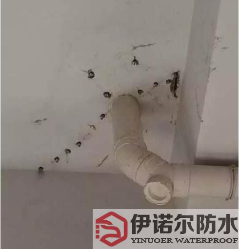 蘇州防水工程的基本內(nèi)容是什么？